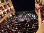 P1000160.jpg
