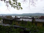 P1000176.jpg