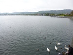 P1000182.jpg