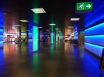 P1000223.jpg