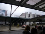 P1000238.jpg