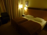 P1000275.jpg