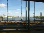 P1000320.jpg