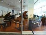 P1000379.jpg