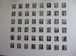 P1000420.jpg