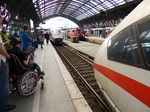 P1000422.jpg