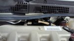 alfa_20110701_2.jpg